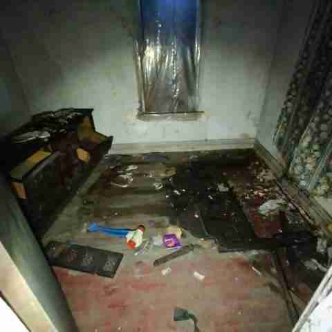 8031 conger (20).jpg